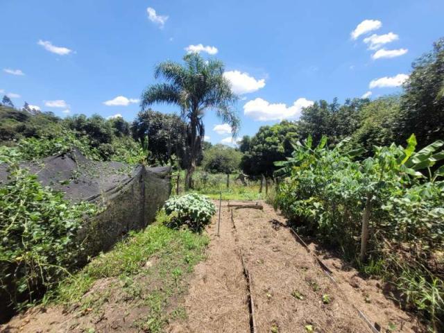 Chácara, Sítio ou Fazenda Venda Baixão da Serra em Mineiros do Tietê