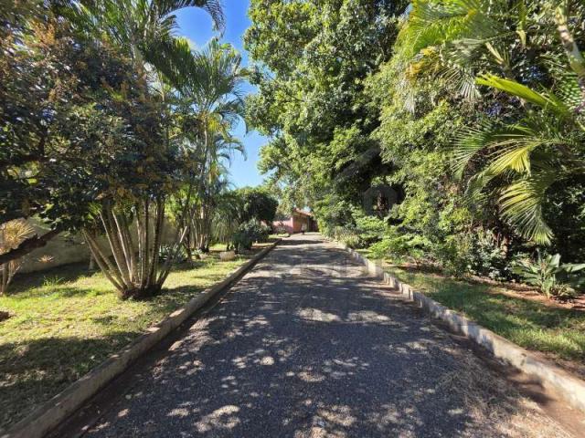 Barracão Venda CENTRO em Jaú